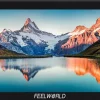 FEELWORLD MONITEUR 6 F6 PLUS V2< Accessoires
