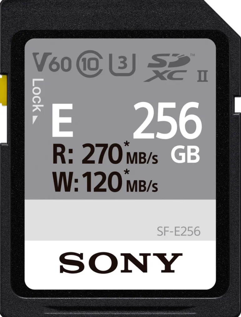 SONY CARTE SD UHS-II ENTRY SERIE CL10U3 256GO< Stockage