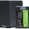 STARBLITZ Batterie compatible Sony NP-FV100< Energie