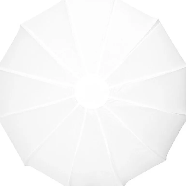 ZHIYUN SOFTBOX LANTERN MONTURE BOWENS G60X100< Accessoires