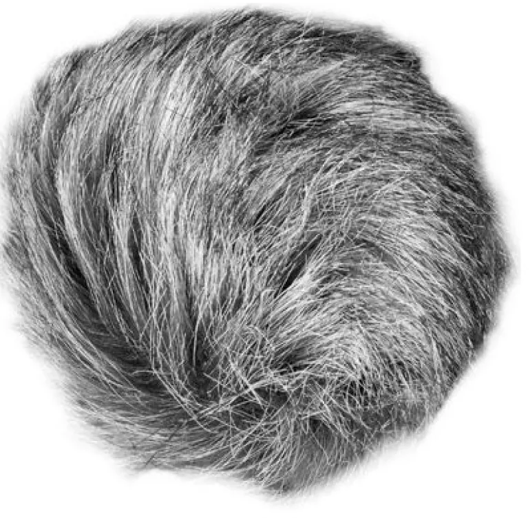 ZOOM BRISE VENT UNIVERSEL< Accessoires Son